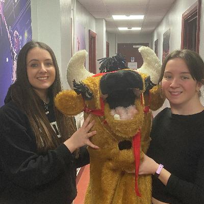 The P pod on location - Festival Hall Panto