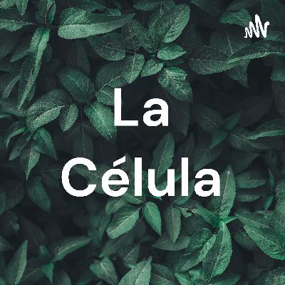 La Ciudad Llamada Celulosa