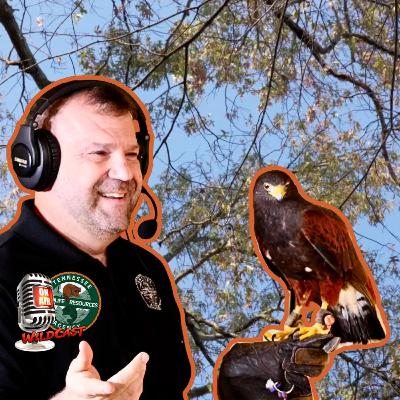 #462 The Ultimate Bird Hunting Sport: Discover the Thrilling World of Falconry