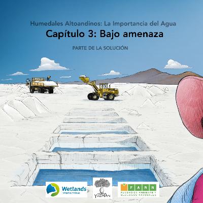 [HUMEDALES ALTOANDINOS] La importancia del agua: Bajo amenaza