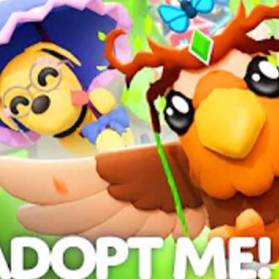 Gift and Pet Wear Refresh!