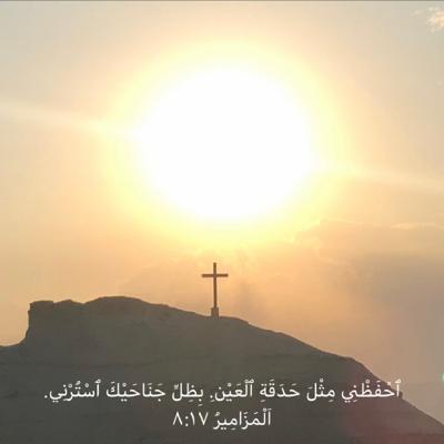 صلاة تأمل بالكلمة (٣) حماية من الشرير صلاة تأمل بالكلمة (٣) حماية من الشرير