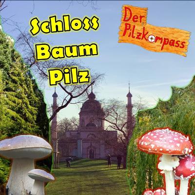 41 Sonderausstellung "Schloss Baum Pilz" im Naturkundemuseum Karlsruhe mit Dr. Markus Scholler