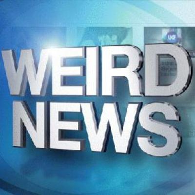 Weekly Weird News #225 (AI hallucinates visiting 'The Simpsons'/man poos on woman's doorstep)