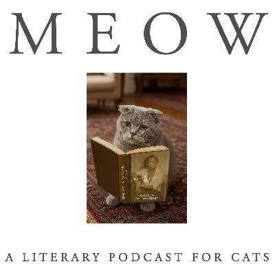 59. Matthew McConaughey's Poems and Prayers, Read For Your Cat