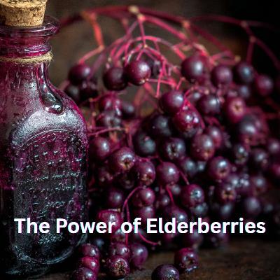 Episode 151. Why Elderberry Works When Big Pharma Won’t┃Jessica Lowery