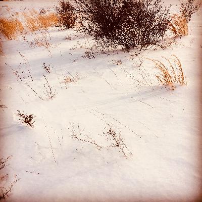 Those Winter Sundays by Robert Hayden Those Winter Sundays by Robert Hayden