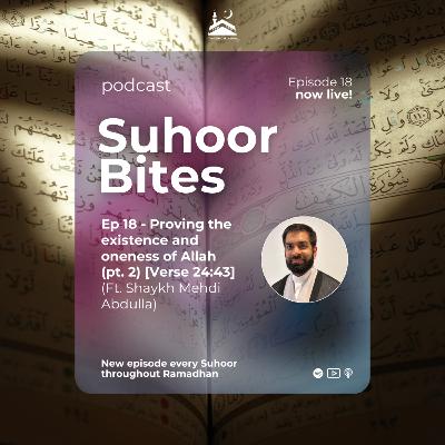 Ep 18 - Proving the existence and oneness of Allah (pt. 2) [Verse 24:43] ft. Shaykh Mehdi Abdulla