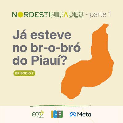 #044 - Nordestinidades | Já esteve no br-o-bró do Piauí?