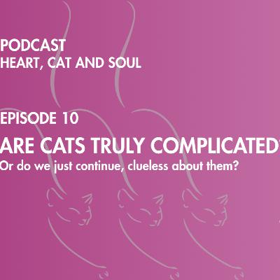 EPISODE 10: Are Cats Truly Complicated?