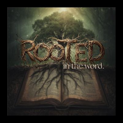 Rooted in the Word // The Power of the Bible