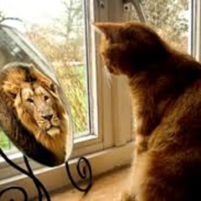 Beleza interior Beleza interior