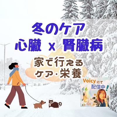 一般公開LIVE：冬の心臓 x 腎臓ケア：どうする❓🐶🐱