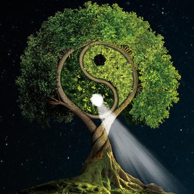 The Journey Home The Journey Home