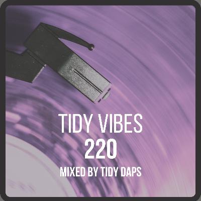 Tidy Vibes 220