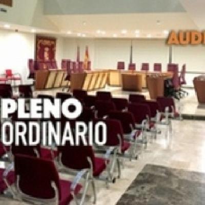 Pleno Ordinario del 28/11/2024 Pleno Ordinario del 28/11/2024