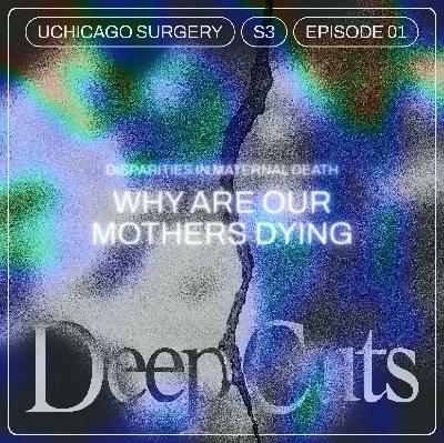 Why are our mothers dying? – Disparities in Maternal Death