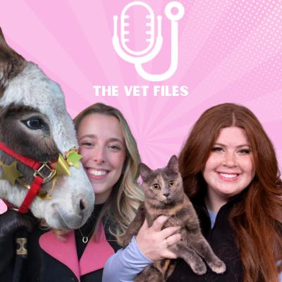 File #013: Life and Leadership as a Practice Owner - with Dr. Emily King