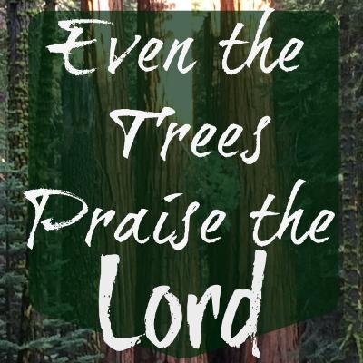 Trees Praising GOD