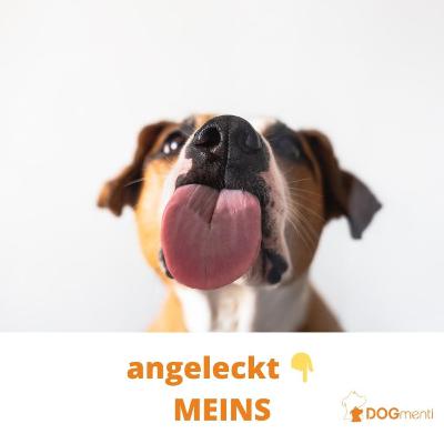 Sinn und Unsinn im Antigiftköder-Training Sinn und Unsinn im Antigiftköder-Training