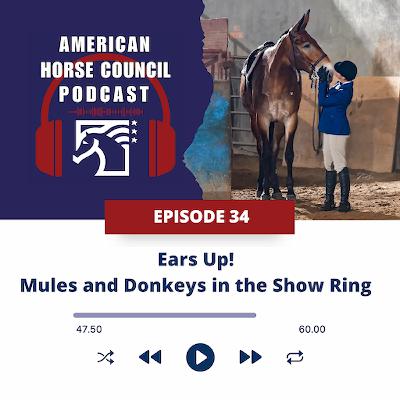 Ears up! Mules & Donkeys in the Show Ring, for February 3, 2026 Ears up! Mules & Donkeys in the Show Ring, for February 3, 2026