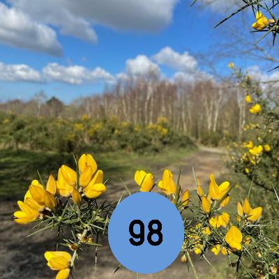 98: The story of Reigate’s horseracing track… and more