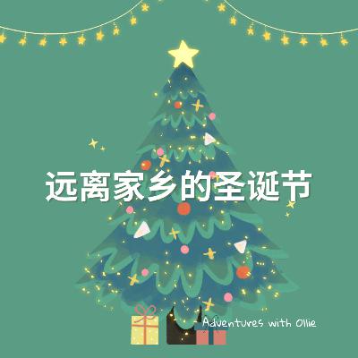 远离家乡的圣诞节 (Christmas story)