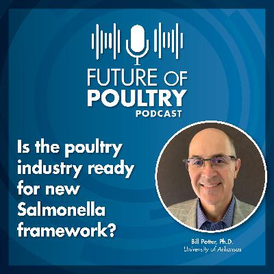 Is the poultry industry ready for new Salmonella framework?