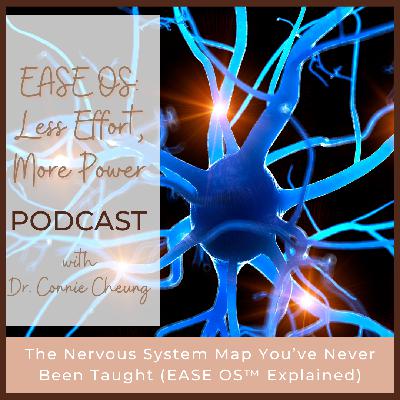 The Nervous System Map You've Never Been Taught (EASE OS™ Explained)