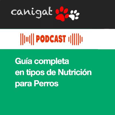 133 - Guía completa en tipos de Nutrición para Perros
