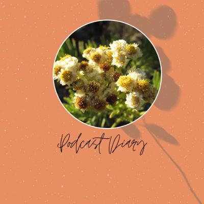 Introducing of Podcast Diary