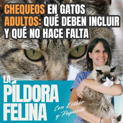 642. CHEQUEOS en gatos ADULTOS: qué deben incluir y qué no hace falta 642. CHEQUEOS en gatos ADULTOS: qué deben incluir y qué no hace falta