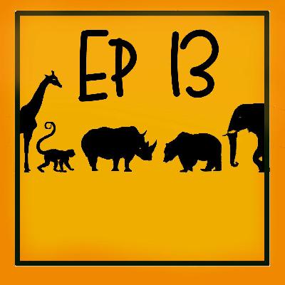 Ep 13 Cadena de Favores. Altruismo en el mundo animal