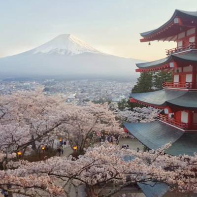 Why move to Japan? Walking around and doing dangerous things?