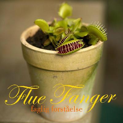 Intro FlueFanger Faglig Forståelse