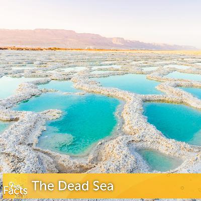 Fun Facts About the Dead Sea