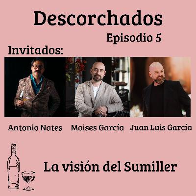 La Visión del Sumiller 01 X 05
