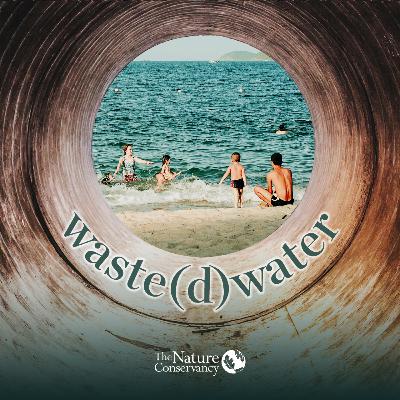 3. The price of pollution: Wastewater's surprising drain on the economy