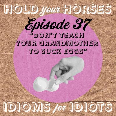 Episode 37. Don't Teach Your Grandmother to Suck Eggs