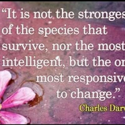 פרק 42 -״מה שלמדתי בזמן הסגר''