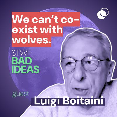 Bad Idea #7 "We Can't co-exist with wolves" with Luigi Boitani