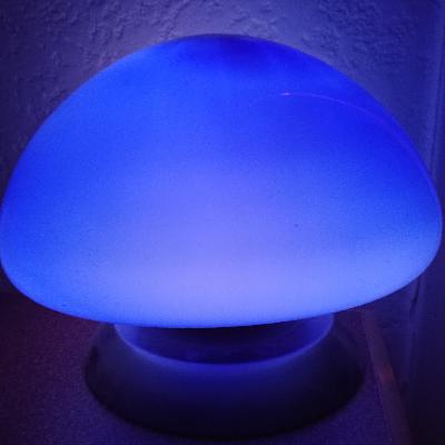 Tom et tatie Jacqueline