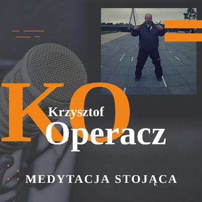 003 Zhan Zhuang - pozycja wypoczynkowa