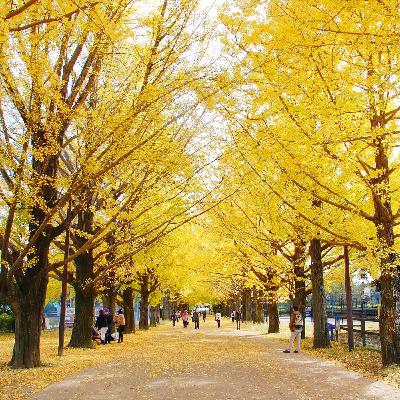 Il weekend dal 7 al 9 Novembre 2025