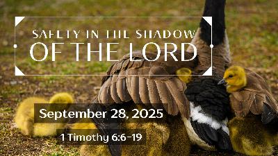 September 28, 2025  - Video