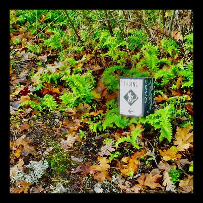 Irvine trail summit run