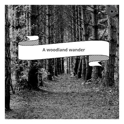 A woodland wander