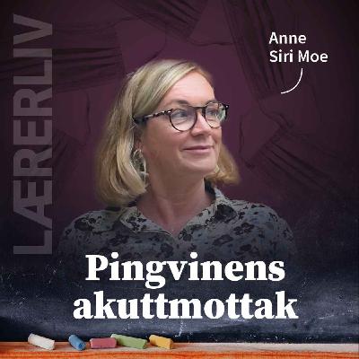 Lærerliv: Pingvinens akuttmottak