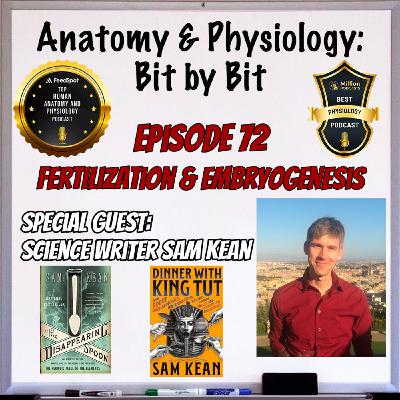 Fertilization and Embryogenesis - Plus Science Writer Sam Kean - Episode 72