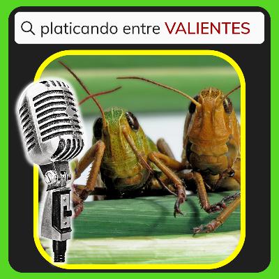 🦗Episodio # 39 "El ataque de las langostas" 🦗 Estudio del libro de Joel